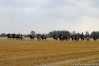 img_4593.jpg