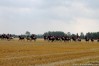 img_4594.jpg