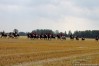 img_4595.jpg