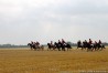 img_4597.jpg