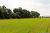 img_4608.jpg