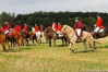 img_4769.jpg