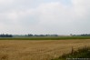 img_4782.jpg