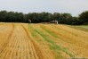 img_4804.jpg