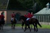 dsc04921.jpg