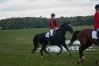 dsc04941.jpg