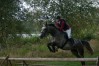 dsc04945.jpg