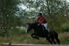 dsc04951.jpg