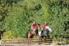 dsc04965.jpg