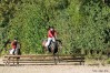 dsc04971.jpg