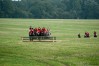 dsc04990.jpg