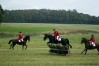 dsc04993.jpg