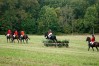 dsc04995.jpg