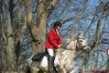 dsc06485.jpg