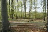 dsc06821.jpg