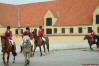 dsc06846.jpg