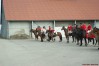 dsc06860.jpg