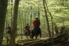 dsc06867.jpg