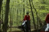 dsc06874.jpg