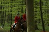 dsc06885.jpg