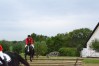 DSC_0410.JPG