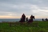 DSC_0497.JPG