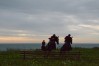 DSC_0516.JPG