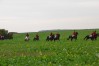 DSC_0526.JPG