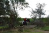 DSC_0559.JPG