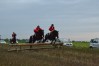 DSC_0685.JPG
