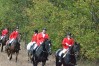 DSC_0708.JPG