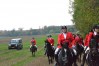 DSC_0709.JPG