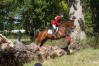 jagtridning2015_02116.jpg