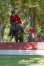 jagtridning2015_02132.jpg