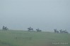 DSC01494.jpg