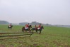 DSC_0306.JPG