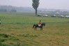 DSC_0354.JPG