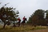 DSC_0357.JPG