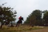 DSC_0360.JPG