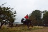 DSC_0361.JPG
