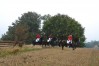 DSC_0372.JPG