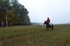 DSC_0400.JPG