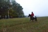 DSC_0401.JPG
