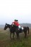 DSC_0414.jpg