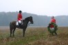 DSC_0430.JPG
