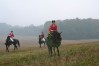 DSC_0434.JPG