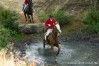 JN1_3386.jpg
