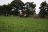 DSC05495.jpg