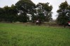 DSC05507.jpg