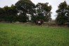 DSC05508.jpg